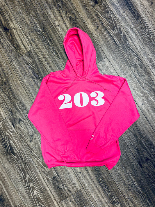 203 Hoodie