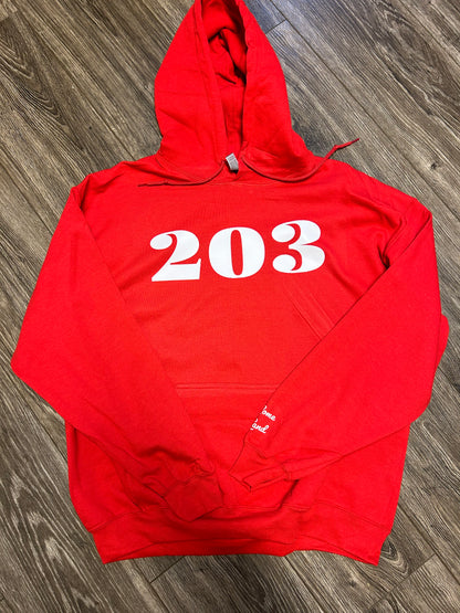 203 Hoodie